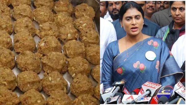 తిరుమల లడ్డూపై సుప్రీంకోర్టు సుమోటో విచారణ-సీజేఐకి షర్మిల లేఖ..!