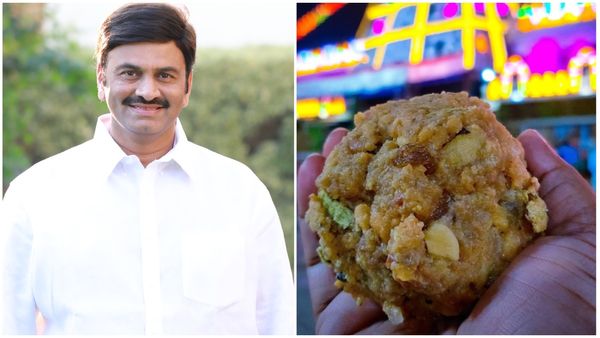 తిరుమలతో పెట్టుకుంటే ఏమైనారో చరిత్ర చెబుతోంది, దొంగల బ్యాచ్, రఘురామ కృష్ణరాజు  