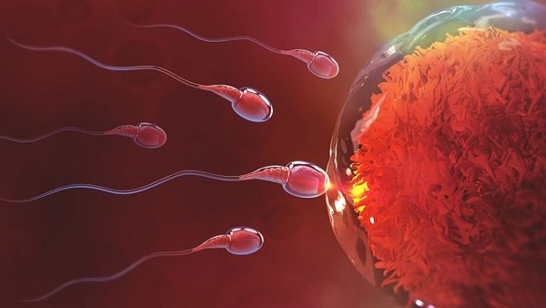 Population: దక్షిణాది రాష్ట్రాల్లో తగ్గిన సంతానోత్పత్తి రేటు.. !