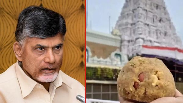 లడ్డూపై సీఎం చంద్రబాబు క్షమాపణలు చెప్పాల్సిందేనా..?