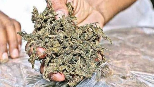  విశాఖలో గంజాయి, బీహార్ లో రివాల్వర్, విజయవాడలో ఇలా చిక్కి !! 
