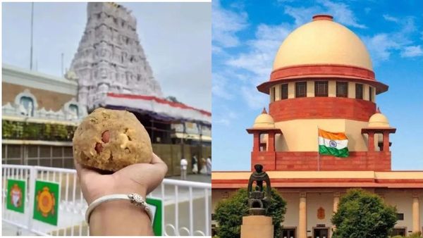 లడ్డూ విచారణ వారి చేతికే - సుప్రీంలో కీలక పరిణామం..!?