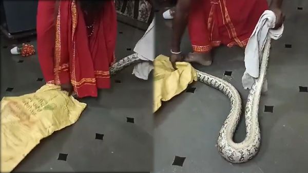 Karimnagar: అర్ధరాత్రి వంటగదిలో చప్పుడు.. వెళ్లి చూడగా షాక్..!