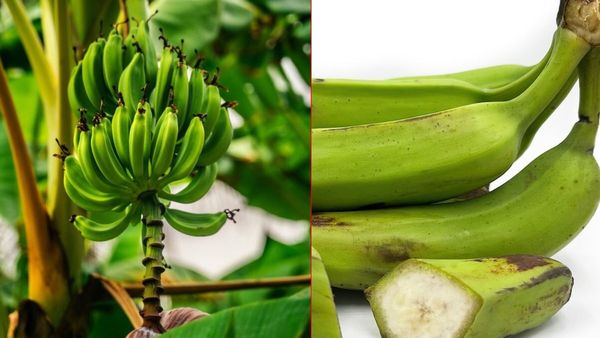  పచ్చిఅరటికాయ కూర తింటే శరీరంలో జరిగే అద్భుతాలు ఇవే!