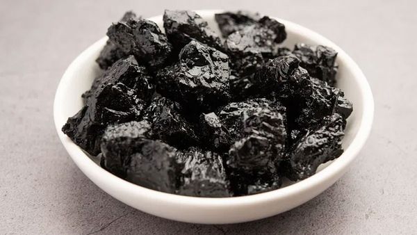 శిలాజిత్‌తో మీ స్టామినా రెట్టింపు.. మగవారు తీసుకుంటే ?