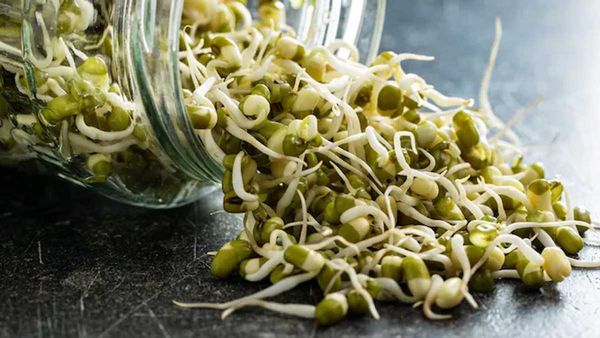 మొలకలను అల్పాహారంగా తీసుకుంటే మీ శరీరానికి రెట్టింపు శక్తి