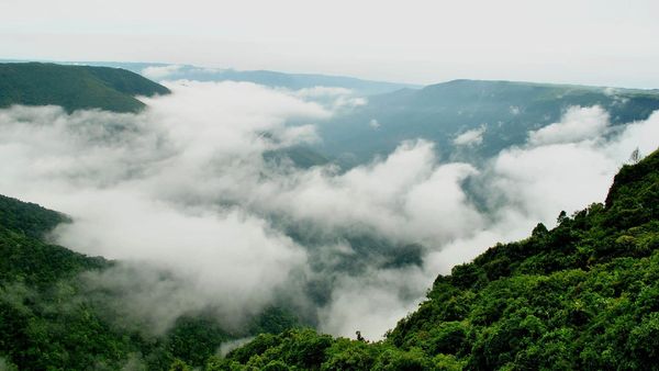 Araku tourism: మేఘాల కొండల్లో విహరిస్తూ ఉదయ భానుడ్ని పలకరించాలా?