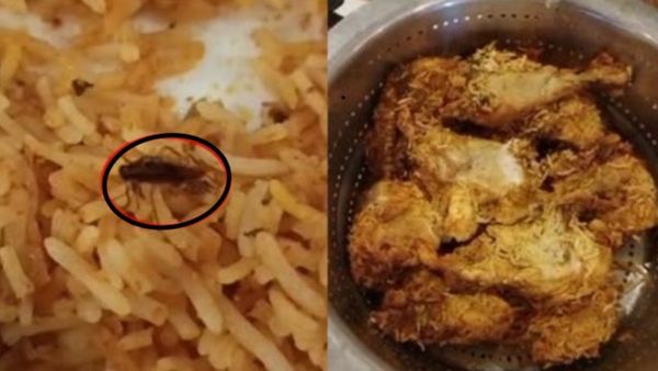 బయట తినాలంటేనే..: బిర్యానీలో బొద్దింక దర్శనం!