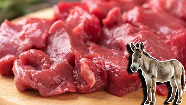 గాడిద కదా అని తక్కువ అంచనా వేయకండి.. దీని మాంసం తింటే కలిగే ప్రయోజనాలు తెలుసా?