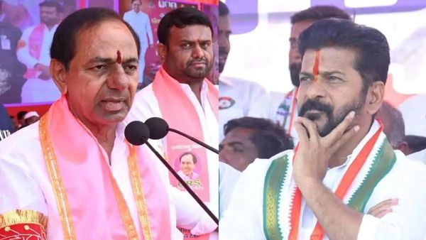 రేవంత్ ... కేసీఆర్ మర్రిచెట్టు.. నువ్వో గంజాయి మొక్క!!