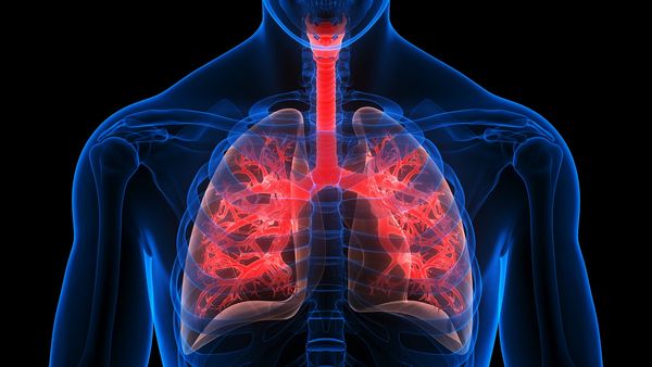 ఊపిరితిత్తులు తేడా రాకుండా ఉండాలంటే ఇలా చేయండి