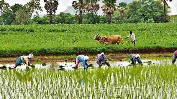 రైతు రుణమాఫీపై కీలక నిర్ణయం