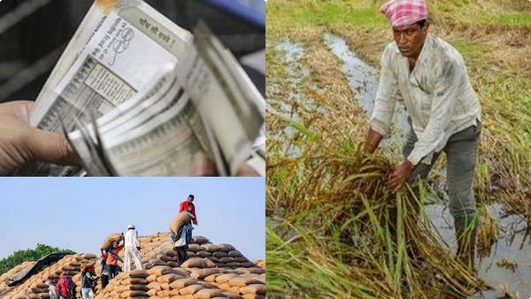  ఏపీలో రైతులకు శుభవార్త-ధాన్యం విక్రయాలకు వాట్సాప్ నంబర్ ఇదే..!