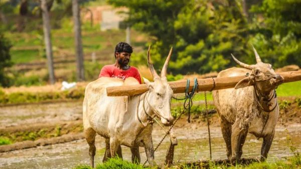 రైతులకు గుడ్ న్యూస్ చెప్పిన కూటమి ప్రభుత్వం