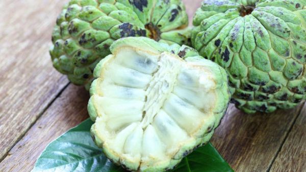 సీతాఫలాలు వీళ్ళు అసలే తినొద్దు.. డేంజర్!