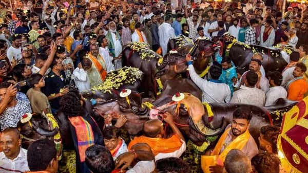 తెలంగాణ రాష్ట్ర పండుగగా ‘సదర్’: సర్కారు జీవో జారీ