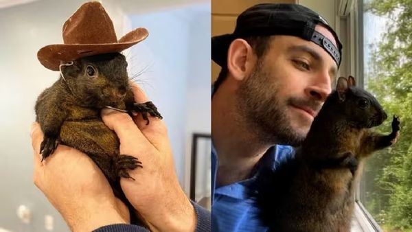 Squirrel politics: ఉడుత కేంద్రంగా వేడెక్కిన అమెరికా పాలిటిక్స్.. ఎందుకంత ఫేమస్, దాని స్టోరీ ఏంటి?