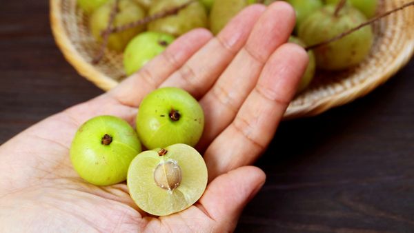 పరగడుపున ఉసిరి.. ఆరోగ్యాల సిరి.. తెలుసుకోండి!