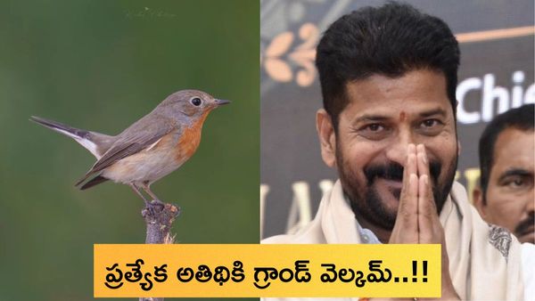 Revanth Reddy:శీతాకాలం ప్రత్యేక అతిథిపై సీఎం రేవంత్ ఆసక్తికర పోస్ట్..!!