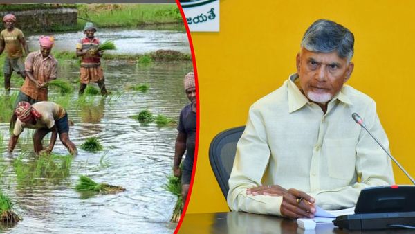  చంద్రబాబు గుడ్‌న్యూస్: రైతుల ఖాతాల్లో 48 గంటల్లో డబ్బుల జమ