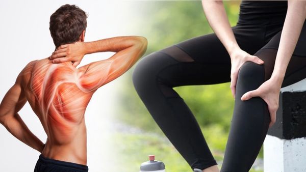 శరీరంలో శక్తి సన్నగిల్లుతుందా..? అయితే రోజూ నాలుగు ఈ పండ్లు తినండి..