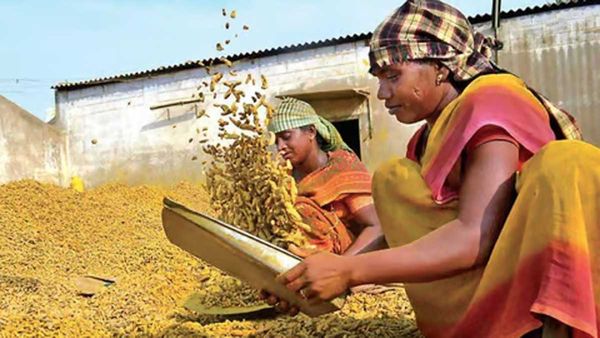 తెలంగాణా రైతులకు సంక్రాంతికి అదిరిపోయే గిఫ్ట్ ఇచ్చిన కేంద్రం!