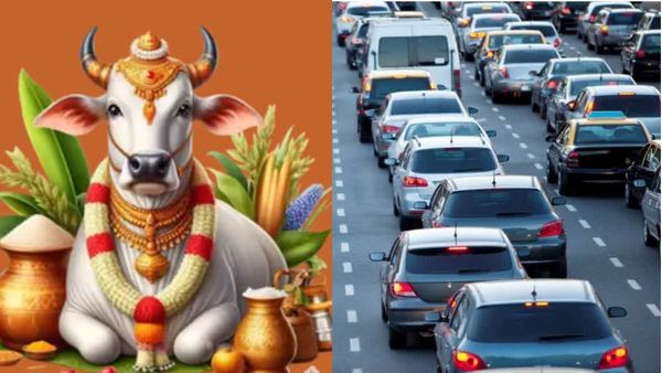 కనుమ రోజు ప్రయాణాలు ఎందుకు చేయకూడదు? ఊరు దాటితే ఏమవుతుంది?