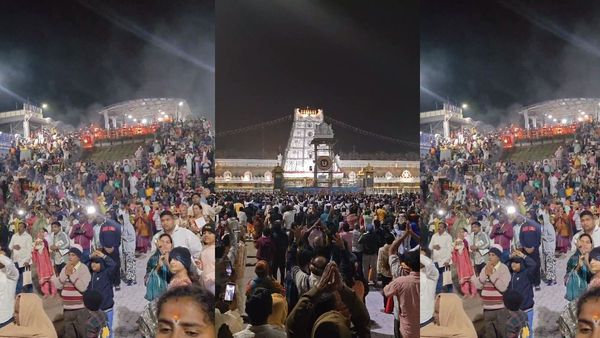 గోవిందా.. గోవింద: మార్మోగిన తిరుమలగిరులు