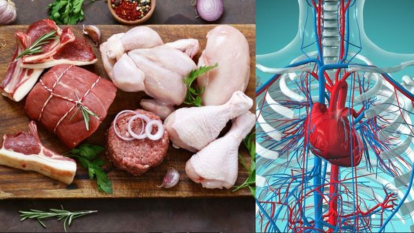 మాంసం - గుండె జబ్బులకు సంబంధం ఏమిటి? ఎక్కువ తింటే ప్రాణాలకే ప్రమాదమా?