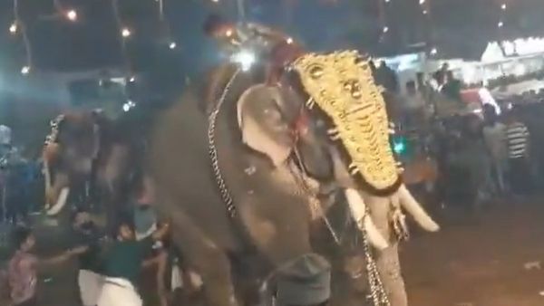 అదుపు తప్పిన ఏనుగు: ఉత్సవాల్లో భయోత్పాతం