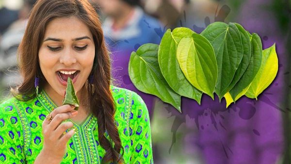 ఈ ఆకులు రోజూ తింటే డయాబెటిస్ తో సహా వందల రోగాలకు చెక్! 