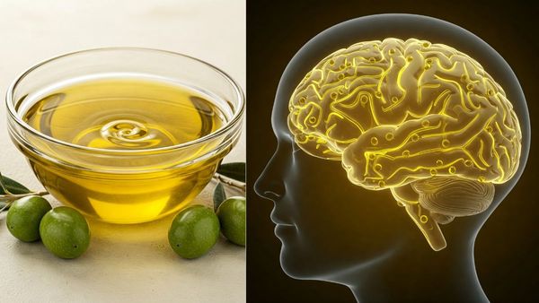 మెదడును శక్తివంతంగా మార్చే సూపర్ ఫుడ్ ఇదొక్కటే.. గుజరాతోళ్లను మించిన తెలివితేటలు!