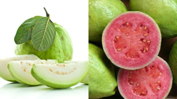 జామపండుతో ఆరోగ్య అద్భుతాలు అన్నీ ఇన్నీ కావు!