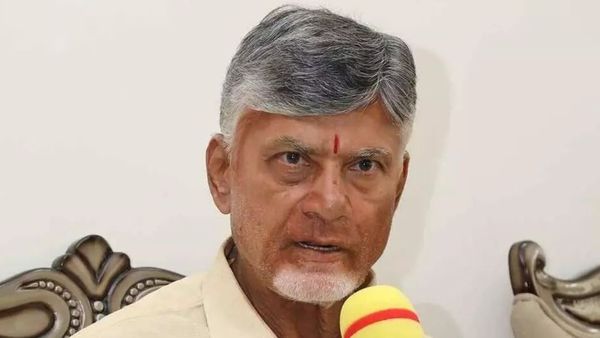పవన్‌తో సమస్యే లేదు: కర్ర విరగకుండా చంద్రబాబు వ్యవహారం?