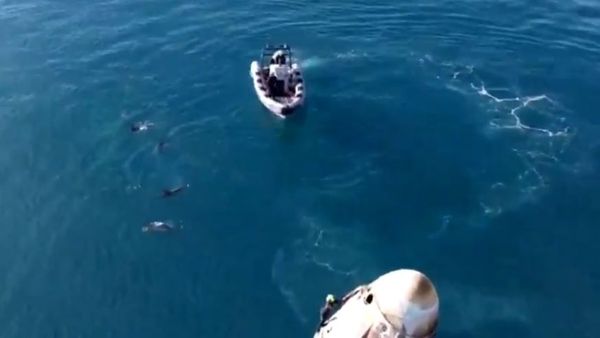 Viral Video: అన్‌ ప్లాన్డ్- సముద్రంలో స్పేస్ క్యాప్సుల్ దిగిన చోట..!!