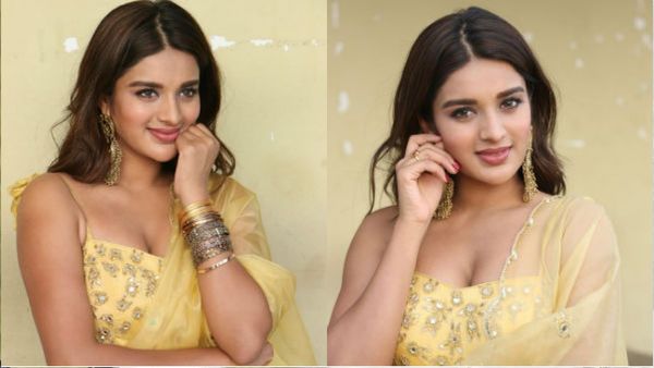  'లక్కీ' ఛాన్స్ కొట్టేసిన పవన్ కళ్యాణ్ హీరోయిన్ 'నిధి అగర్వాల్'..  