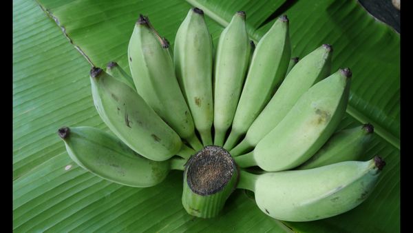 స్లిమ్ గా, చర్మం మృదువుగా.. పచ్చి అరటితో మీ అందం ఇనుమడించేనుగా!