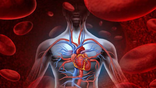 శరీరంలో రక్త ప్రసరణ తగ్గితే .. మీ ఆరోగ్యం డేంజర్‌ జోన్‌లో పడ్డట్లే.. లక్షణాలు ఇవే!