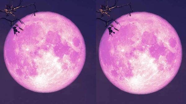 ఆకాశంలో అద్బుతం.. పింక్ మూన్ ఇండియాలో ఎప్పుడు కనిపిస్తోంది.. ఆ స్టోరీ ఏంటి ?