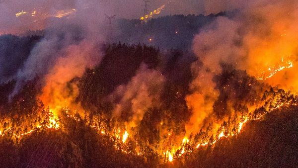 డ్రాగన్ కంట్రీని తగలబెట్టేస్తున్న కార్చిచ్చు.. యాక్షన్ లోకి 3వేల మంది !