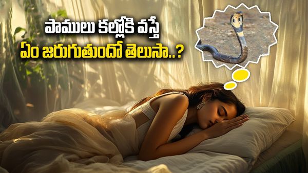 పాములు కలలోకి వస్తే జరిగేది ఇదే..!