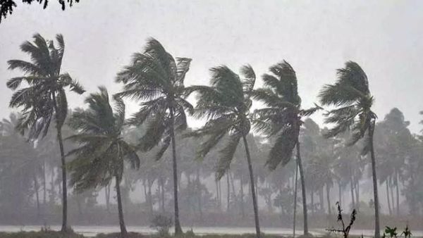 ఏపీలోని ఆ జిల్లాల్లో అత్యధిక వర్షపాతం: పలు జిల్లాలకు వర్షసూచన