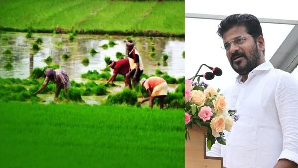  రైతులకు రేవంత్ పండుగ లాంటి వార్త - ఇక నుంచి..!! 