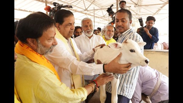 సీరియస్‌గా తీసుకున్న టీటీడీ పాలకమండలి- నిజ నిర్ధారణ
