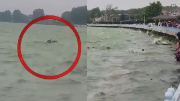 జమ్మూ కాశ్మీర్‌‌లో మరో విషాదం.. ఈసారి కూడా టూరిస్టులే..!