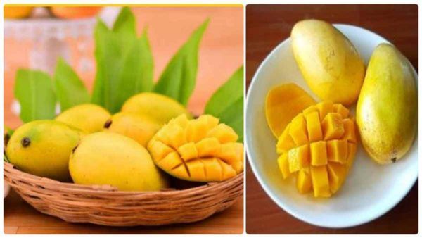 మామిడిపండు.. ఆరోగ్య ప్రయోజనాలు మెండు.. కానీ!