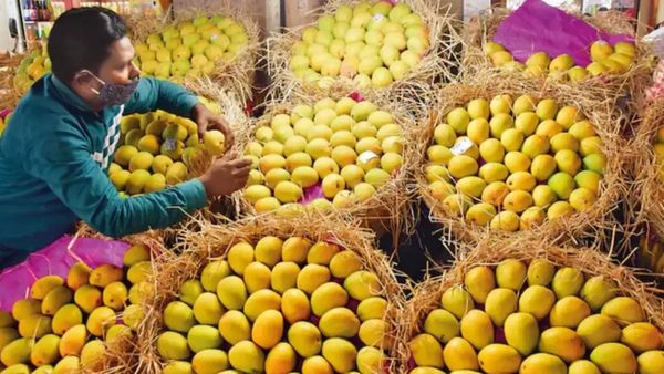 మామిడి పండు తింటే కచ్చితంగా క్యాన్సర్ వస్తుంది!