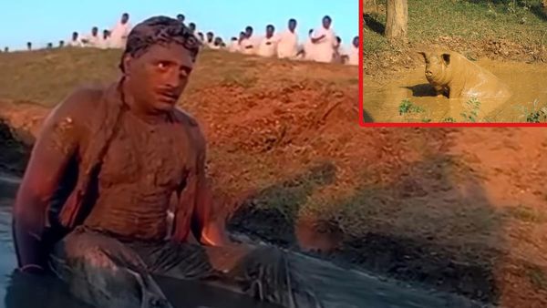 బురదలో పంది.. ప్రకాష్ రాజ్‌పై తెలంగాణ బీజేపీ షాకింగ్ పోస్ట్