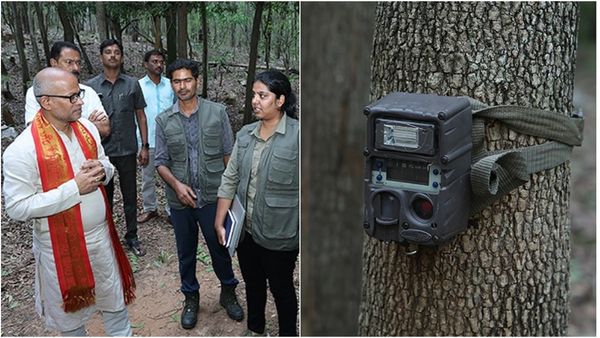 అలిపిరి మెట్ల మార్గంలో టీటీడీ ఏఈఓ నిర్వహించిన తనిఖీల్లో..