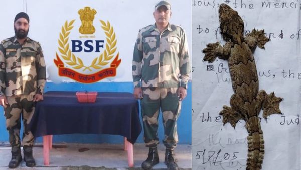 సరిహద్దుల్లో అరుదైన టోకే గెక్కోను రక్షించిన బీఎస్ఎఫ్